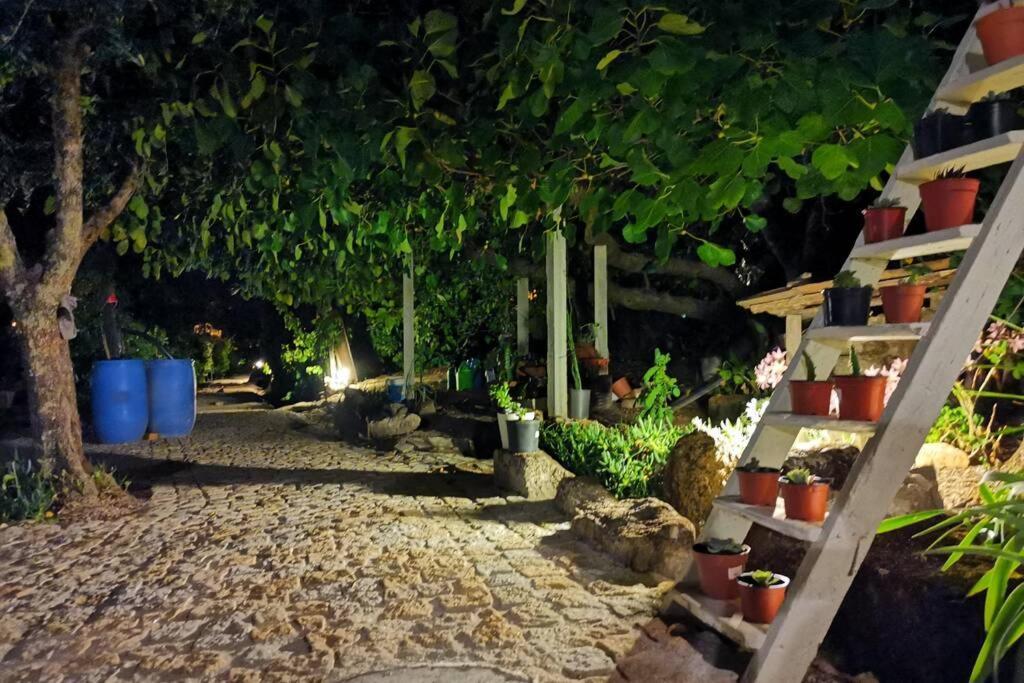 Casa Bento Moura Portugal Βίλα Moimenta da Serra Εξωτερικό φωτογραφία